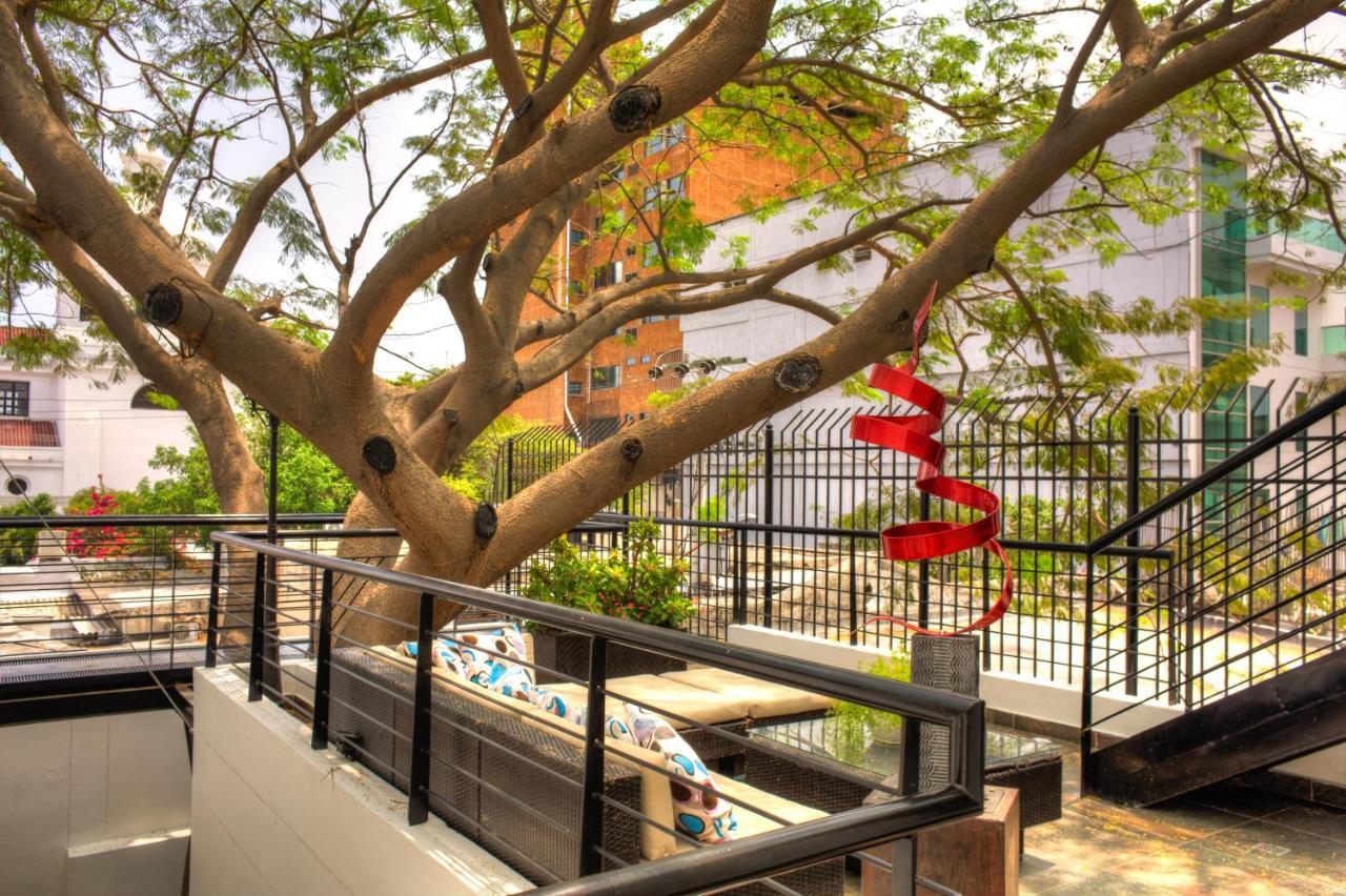 Casa De Leda, A Kali Hotel Санта Марта Екстериор снимка The tree at the center of the courtyard