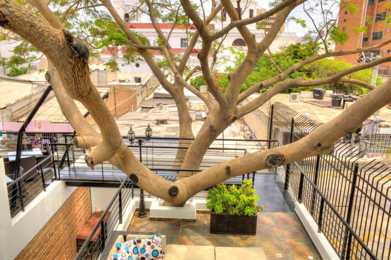 Casa De Leda, A Kali Hotel Санта Марта Екстериор снимка The tree in 2019