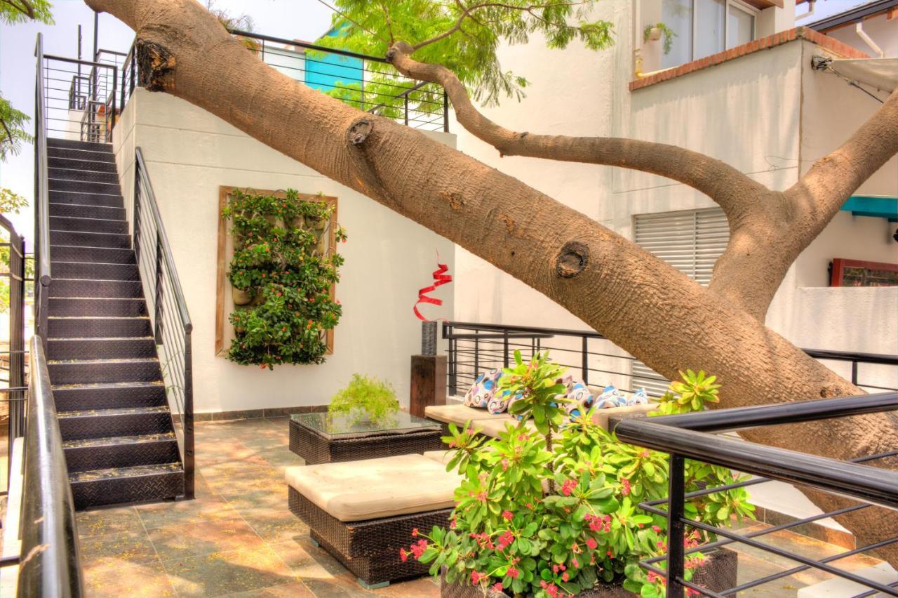 Casa De Leda, A Kali Hotel Санта Марта Екстериор снимка The courtyard of the school